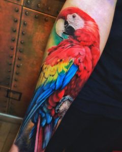 tattoo düsseldorf body upgrade farbe papagei